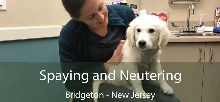 Spaying and Neutering Bridgeton - New Jersey