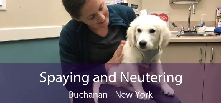 Spaying and Neutering Buchanan - New York