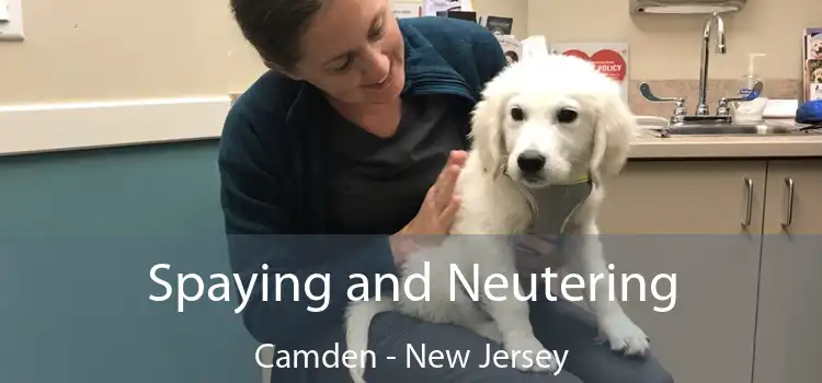 Spaying and Neutering Camden - New Jersey