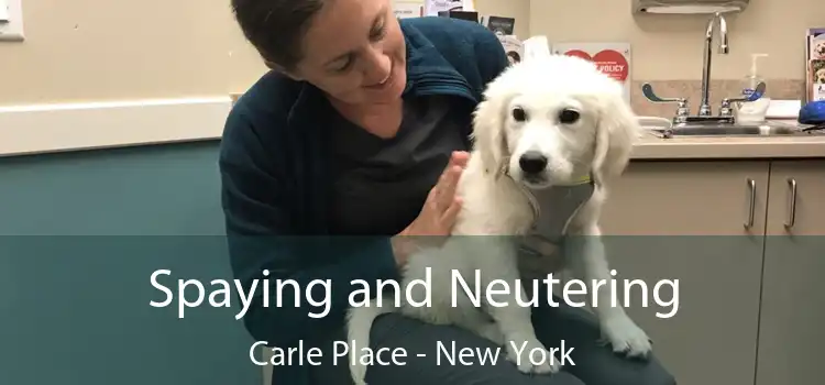 Spaying and Neutering Carle Place - New York