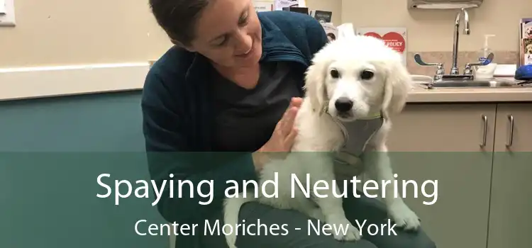 Spaying and Neutering Center Moriches - New York