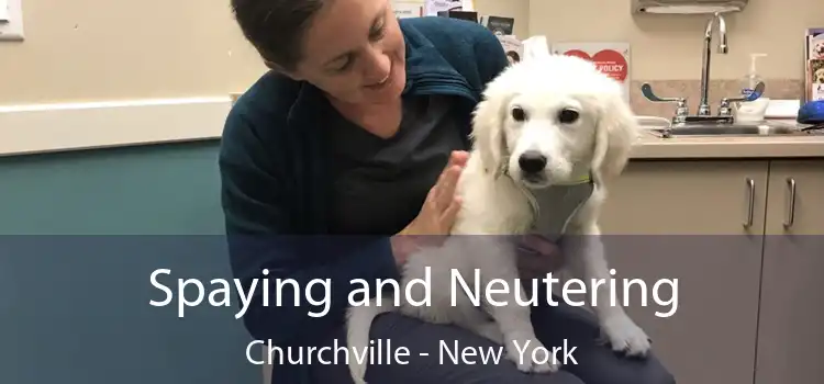 Spaying and Neutering Churchville - New York