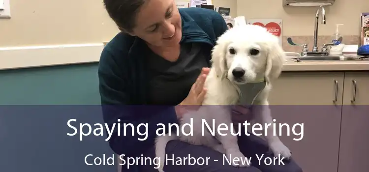 Spaying and Neutering Cold Spring Harbor - New York