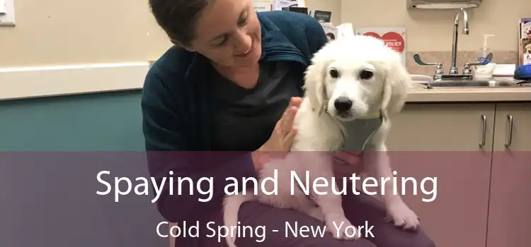 Spaying and Neutering Cold Spring - New York