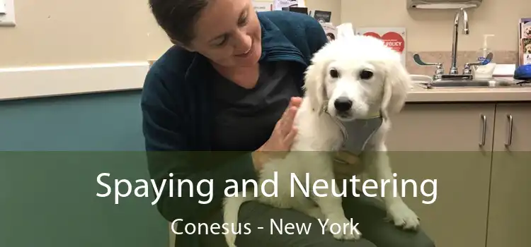 Spaying and Neutering Conesus - New York