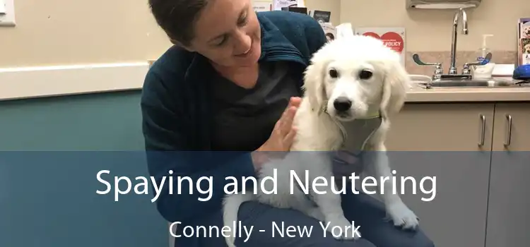 Spaying and Neutering Connelly - New York