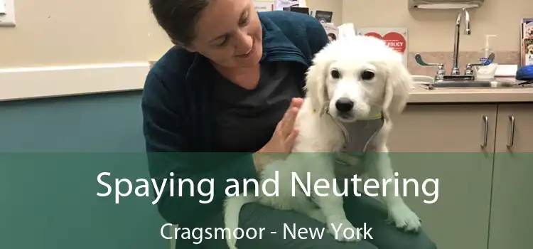 Spaying and Neutering Cragsmoor - New York