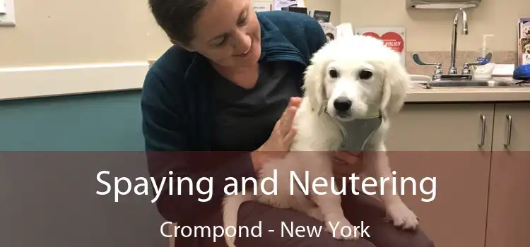 Spaying and Neutering Crompond - New York