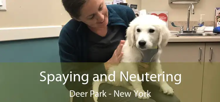 Spaying and Neutering Deer Park - New York