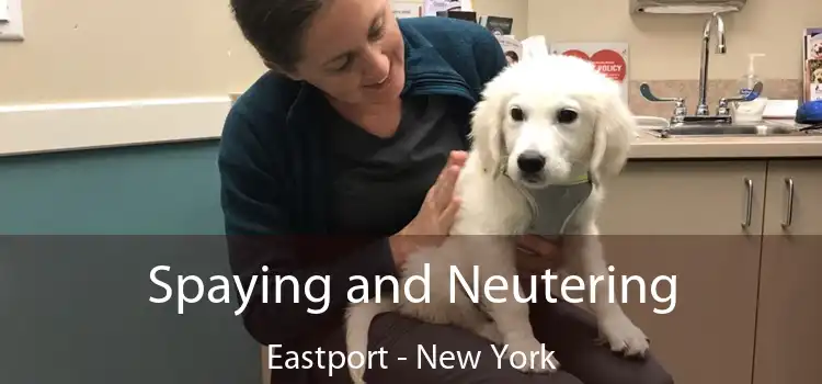 Spaying and Neutering Eastport - New York