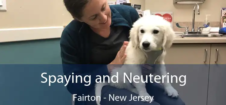 Spaying and Neutering Fairton - New Jersey