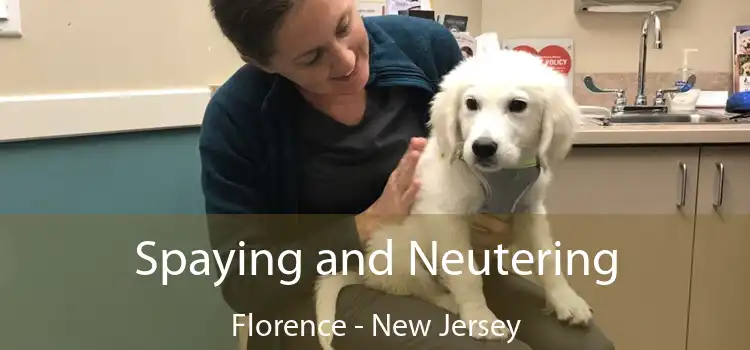 Spaying and Neutering Florence - New Jersey