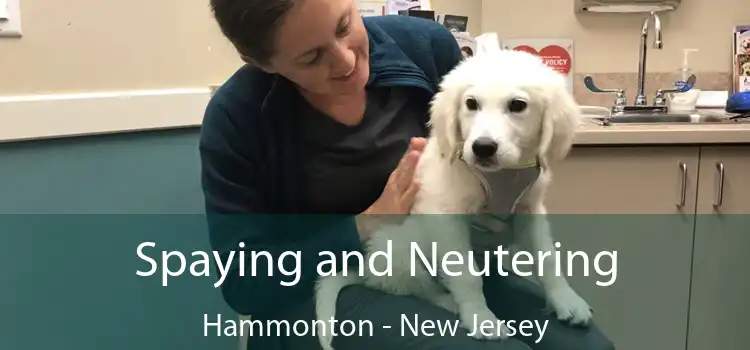 Spaying and Neutering Hammonton - New Jersey