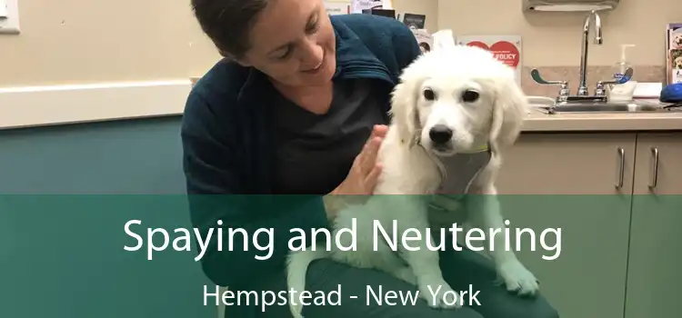 Spaying and Neutering Hempstead - New York