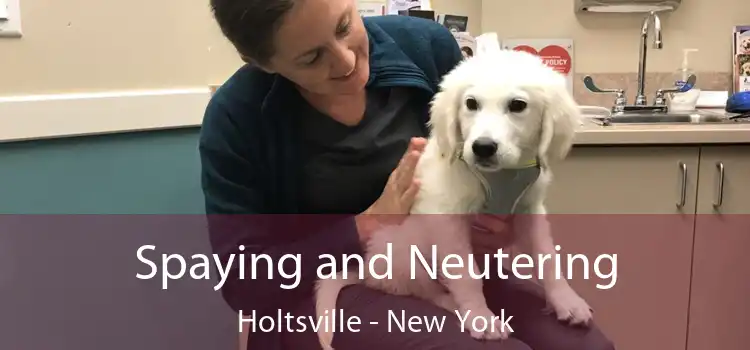 Spaying and Neutering Holtsville - New York