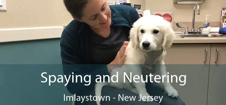 Spaying and Neutering Imlaystown - New Jersey