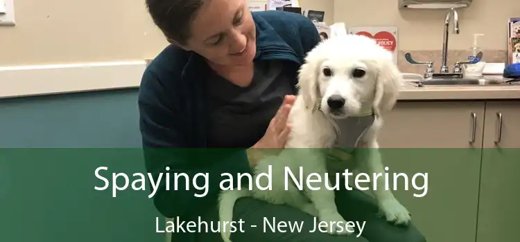 Spaying and Neutering Lakehurst - New Jersey