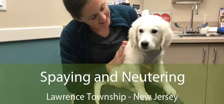 Spaying and Neutering Lawrence Township - New Jersey