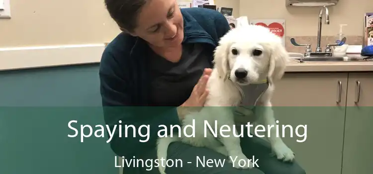 Spaying and Neutering Livingston - New York