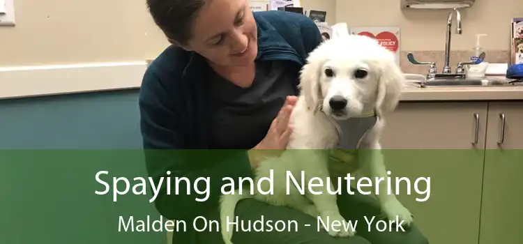 Spaying and Neutering Malden On Hudson - New York