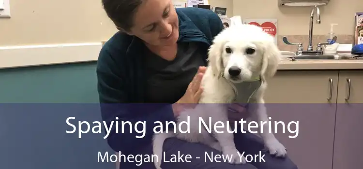 Spaying and Neutering Mohegan Lake - New York