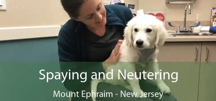 Spaying and Neutering Mount Ephraim - New Jersey