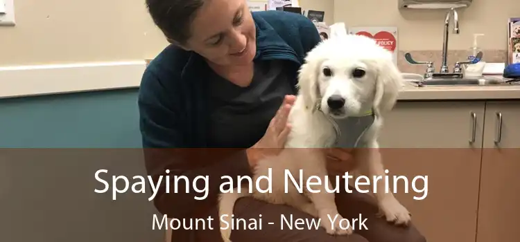 Spaying and Neutering Mount Sinai - New York