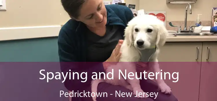 Spaying and Neutering Pedricktown - New Jersey