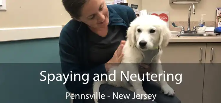 Spaying and Neutering Pennsville - New Jersey