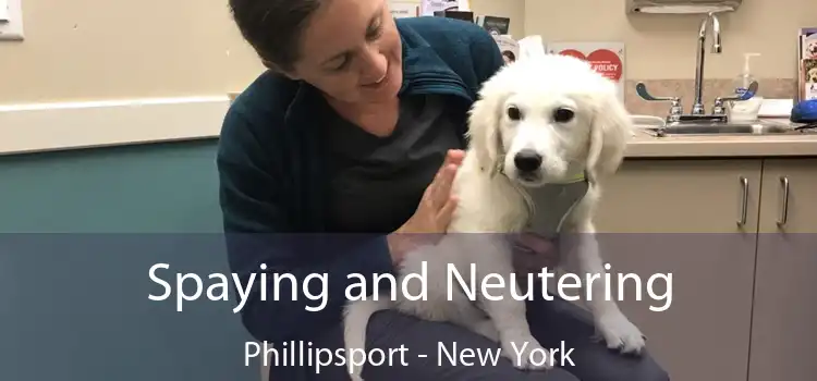 Spaying and Neutering Phillipsport - New York