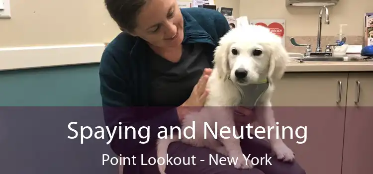 Spaying and Neutering Point Lookout - New York