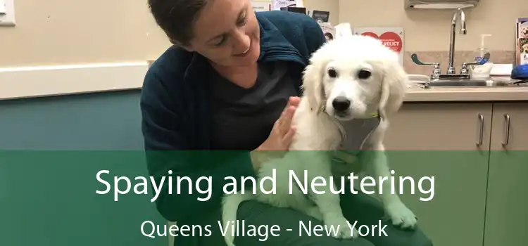 Spaying and Neutering Queens Village - New York