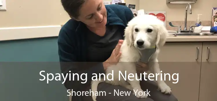 Spaying and Neutering Shoreham - New York