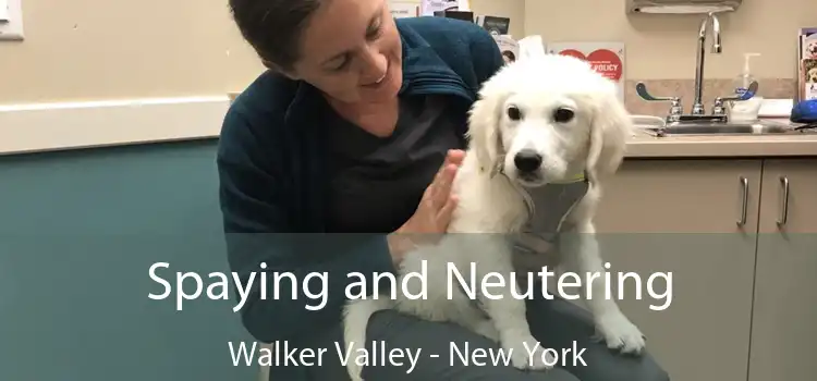 Spaying and Neutering Walker Valley - New York