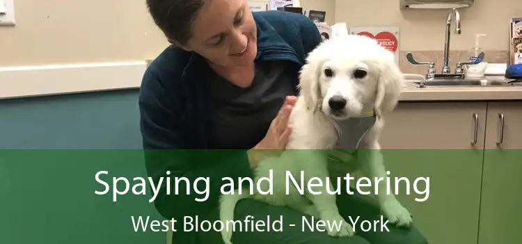 Spaying and Neutering West Bloomfield - New York