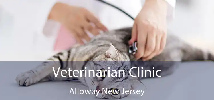 Veterinarian Clinic Alloway New Jersey