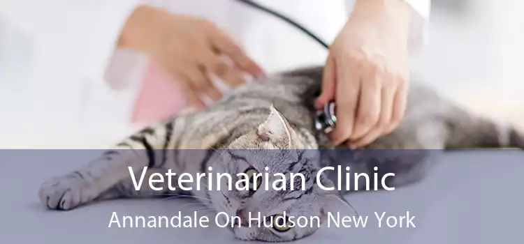 Veterinarian Clinic Annandale On Hudson New York