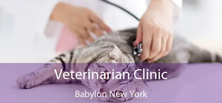 Veterinarian Clinic Babylon New York