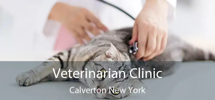 Veterinarian Clinic Calverton New York