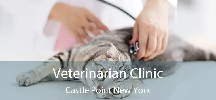 Veterinarian Clinic Castle Point New York