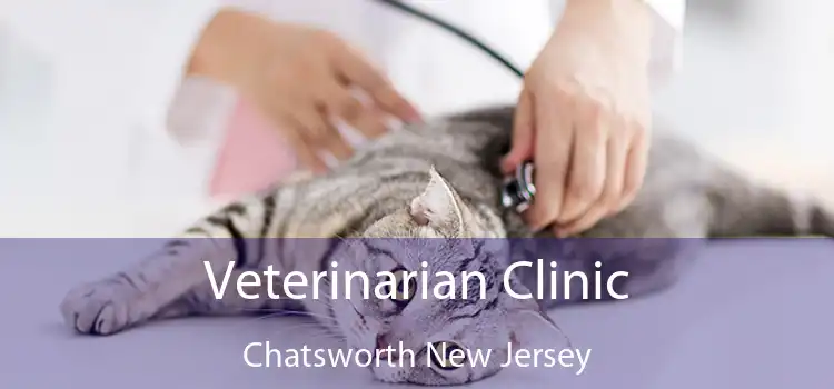 Veterinarian Clinic Chatsworth New Jersey