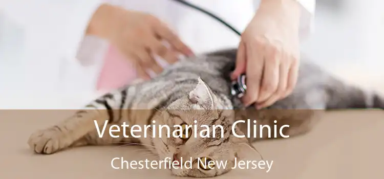 Veterinarian Clinic Chesterfield New Jersey