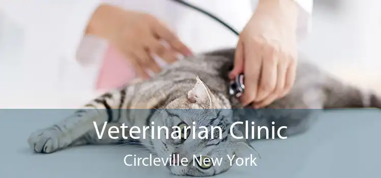 Veterinarian Clinic Circleville New York