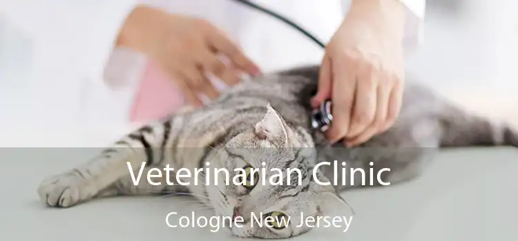 Veterinarian Clinic Cologne New Jersey