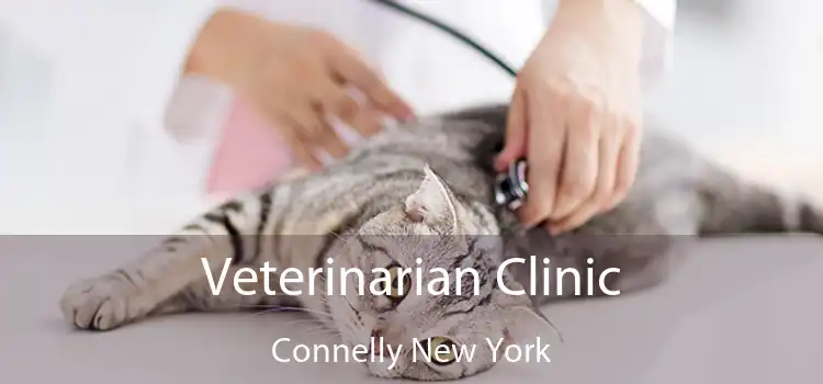 Veterinarian Clinic Connelly New York