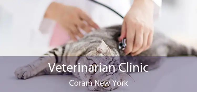 Veterinarian Clinic Coram New York