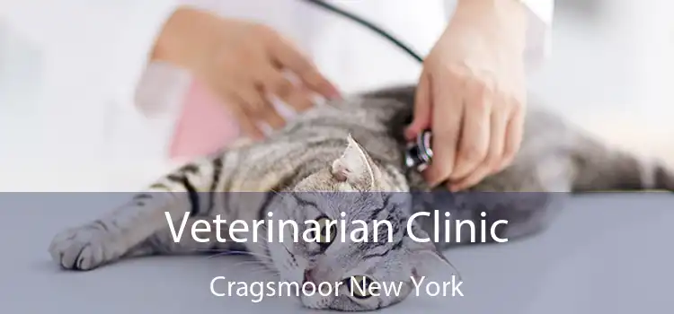 Veterinarian Clinic Cragsmoor New York