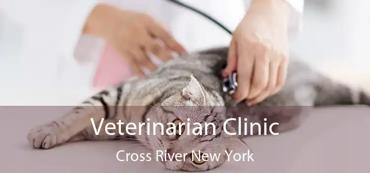 Veterinarian Clinic Cross River New York