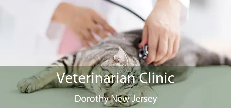 Veterinarian Clinic Dorothy New Jersey