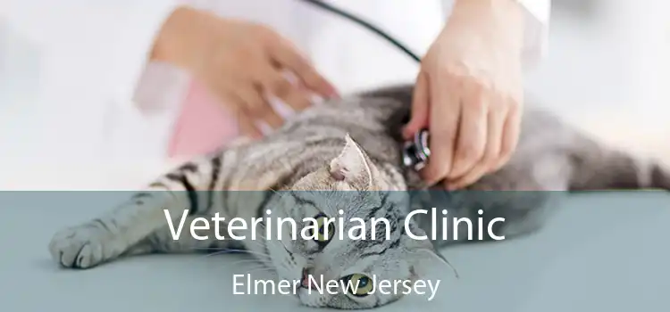 Veterinarian Clinic Elmer New Jersey